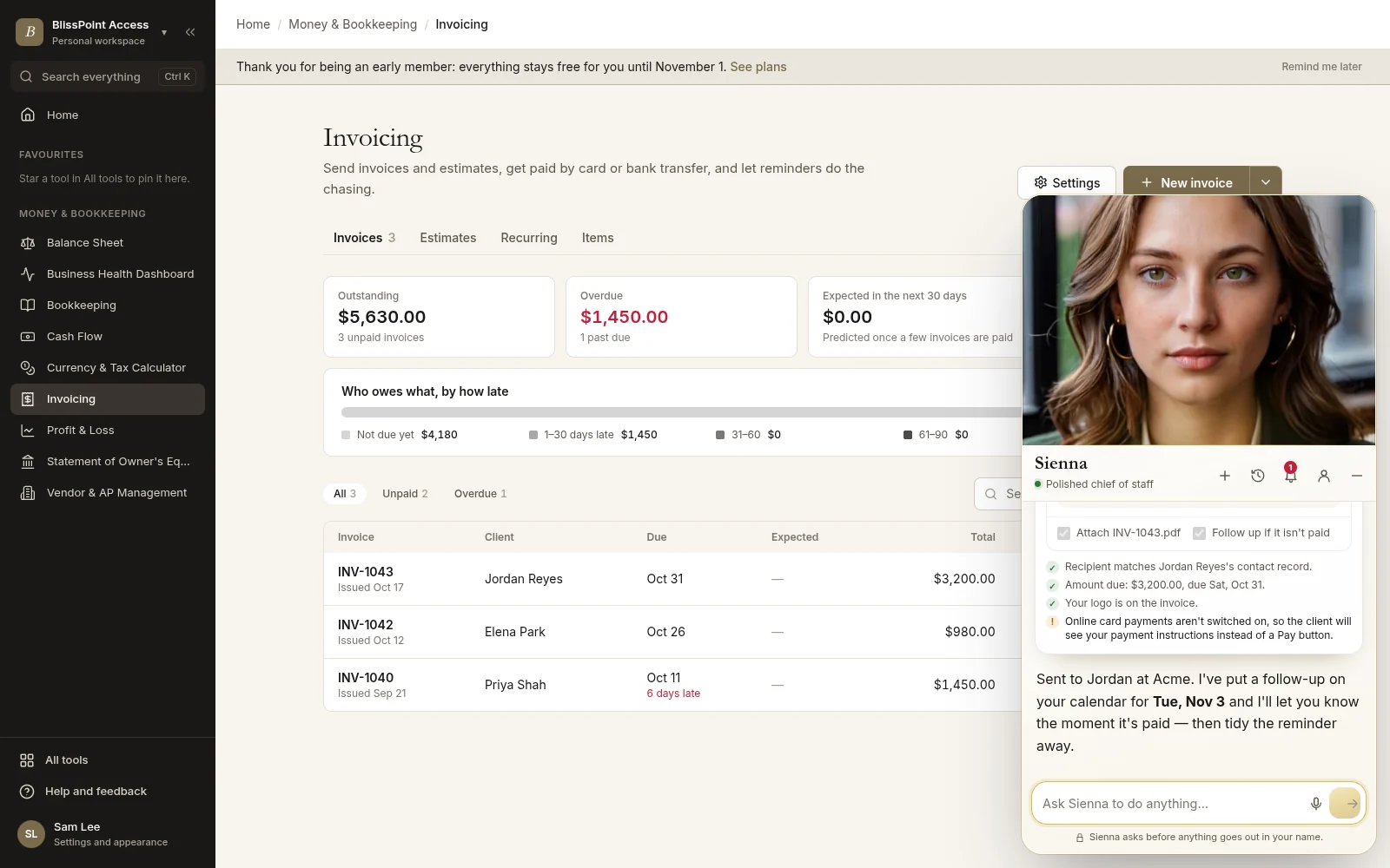 The Aiva chat open on the Invoicing page